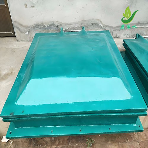 FPR玻璃钢拍门